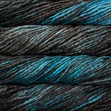 Load image into Gallery viewer, Malabrigo Rasta