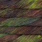 Malabrigo Rios