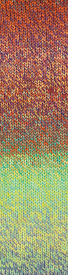 CASCADE - 220 SUPERWASH WAVE