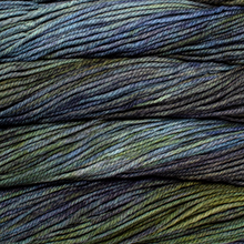 Load image into Gallery viewer, Malabrigo Chunky
