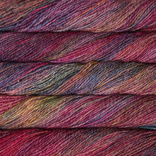 Load image into Gallery viewer, Malabrigo Dos Tierras
