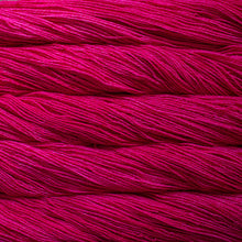Load image into Gallery viewer, Malabrigo Dos Tierras
