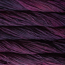 Load image into Gallery viewer, Malabrigo Dos Tierras
