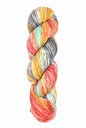 ARAUCANIA - Huasco Sock Hand Painted