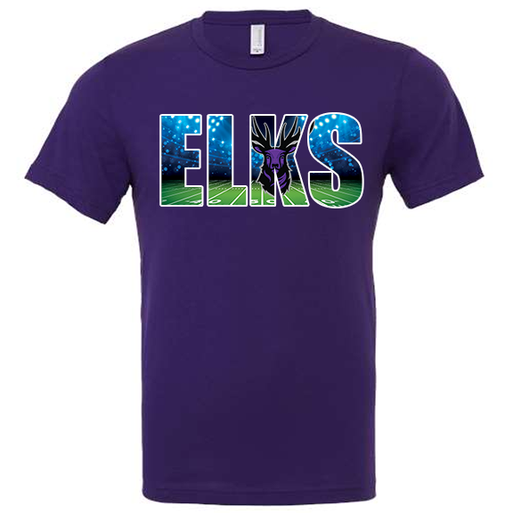 Elkins Elks under the lights