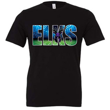 Load image into Gallery viewer, Elkins Elks under the lights
