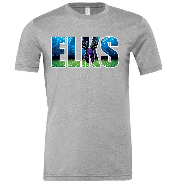 Elkins Elks under the lights