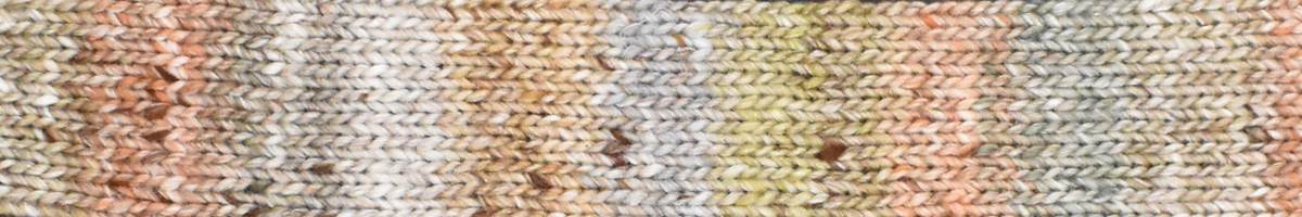 NORO - AKARI