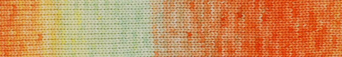 Juniper Moon Yarns - Nimbus Paints Yarn