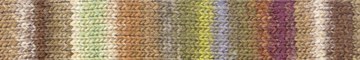NORO - TSUBAME