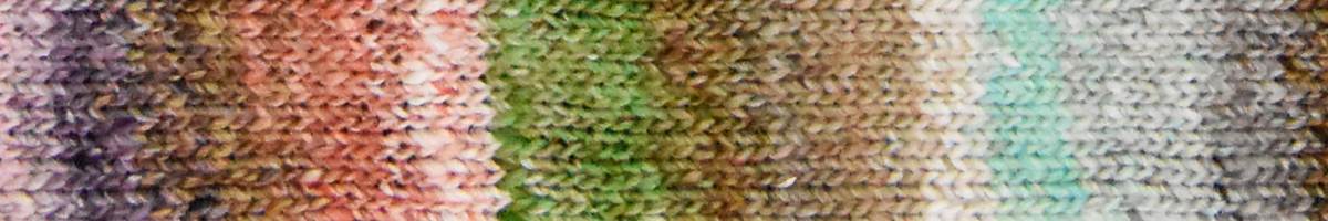 NORO - TSUBAME