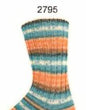 Supersocke (2790-2797) 4-Ply