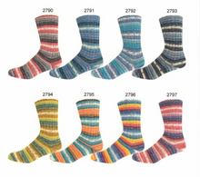 Load image into Gallery viewer, Supersocke (2790-2797) 4-Ply

